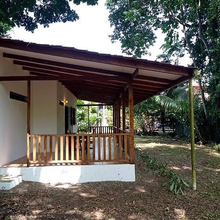 Green Papaya Villa Puerto Viejo de Talamanca Buitenkant foto