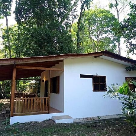 Green Papaya Villa Puerto Viejo de Talamanca Buitenkant foto