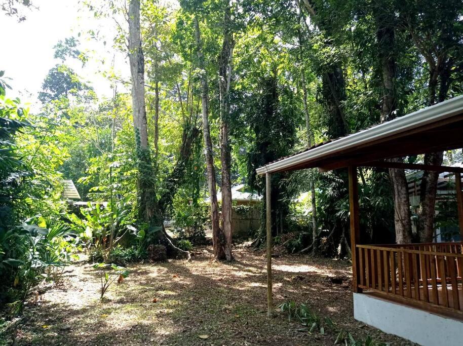 Green Papaya Villa Puerto Viejo de Talamanca Buitenkant foto