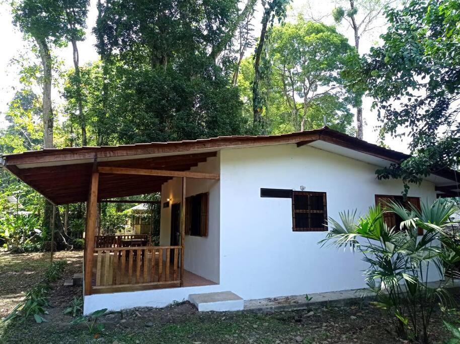 Green Papaya Villa Puerto Viejo de Talamanca Buitenkant foto