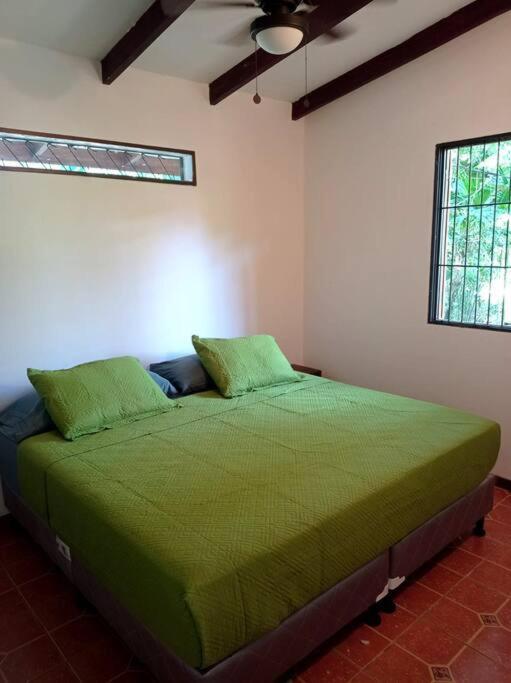 Green Papaya Villa Puerto Viejo de Talamanca Buitenkant foto